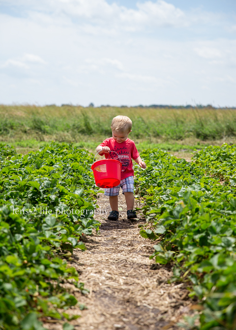 Stade S Farm Lens 2 Life Photography Stade S Farm Lens 2 Life Photography